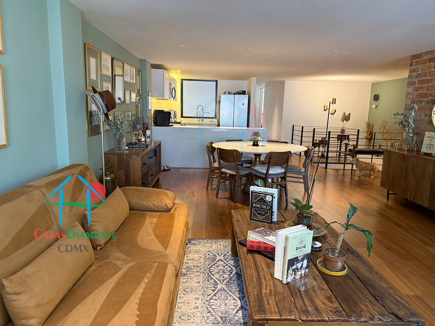 Roma Norte Departamento Orquídea - Estancia 12 Roma Norte Departamento Orquídea - Estancia 12